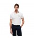 Polo mc tommy menswear z00ivory
