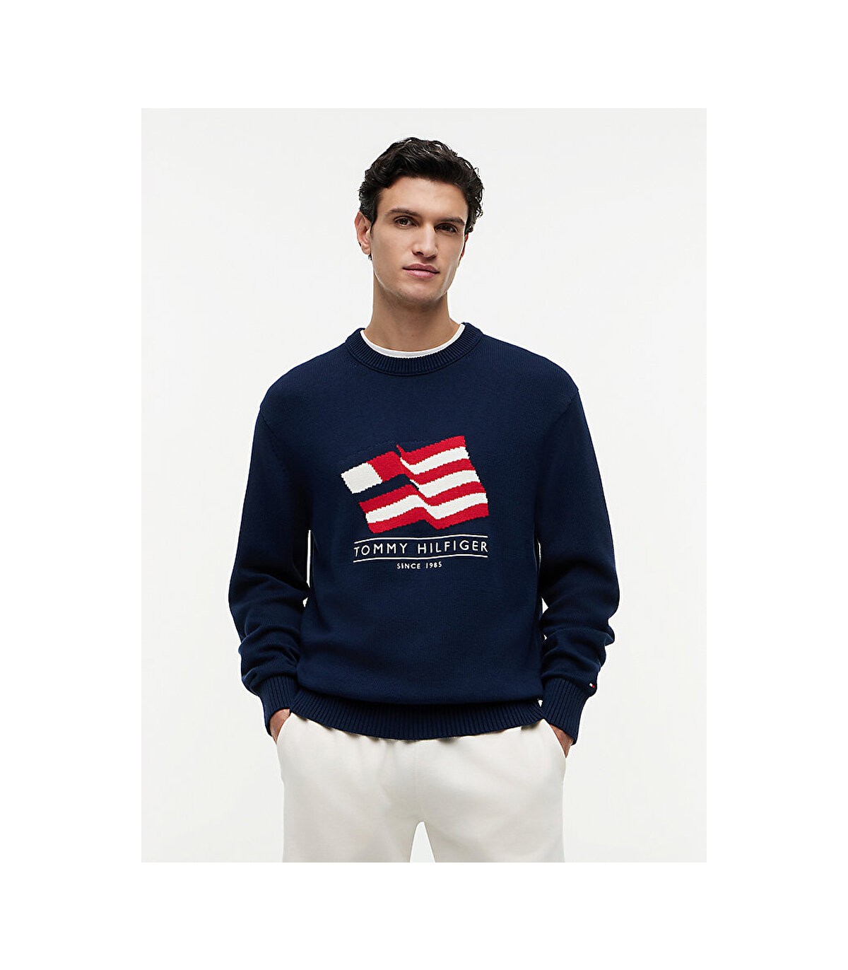 Sweat col rond tommy menswear dccnavy