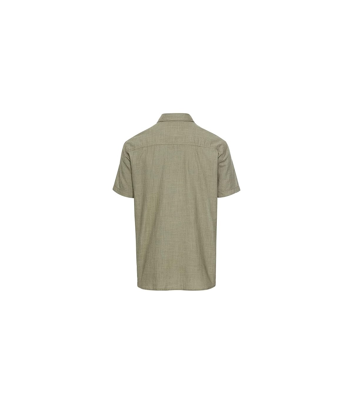 Chemise mc camel 31tilleul