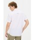 Chemise mc camel 01blanc