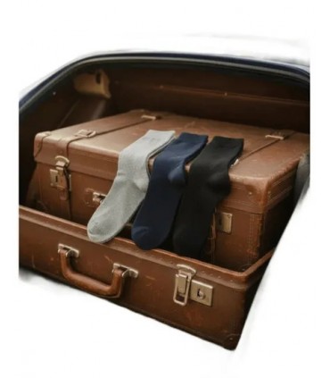 Chaussettes delahaye 007marine