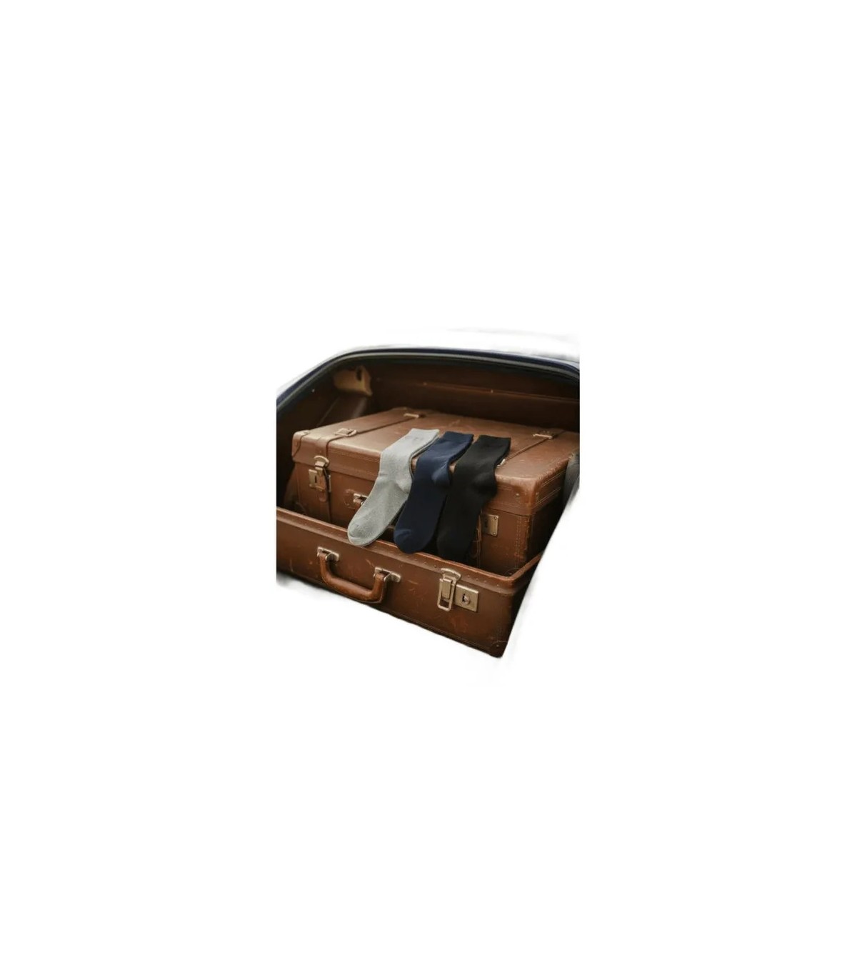 Chaussettes delahaye 007marine