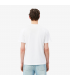 Tee shirt mc lacoste 001-blanc