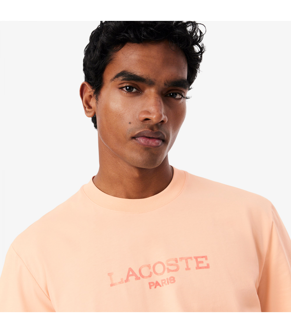 Tee shirt mc lacoste big-angie