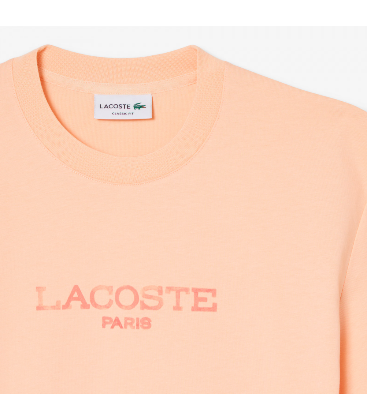 Tee shirt mc lacoste big-angie