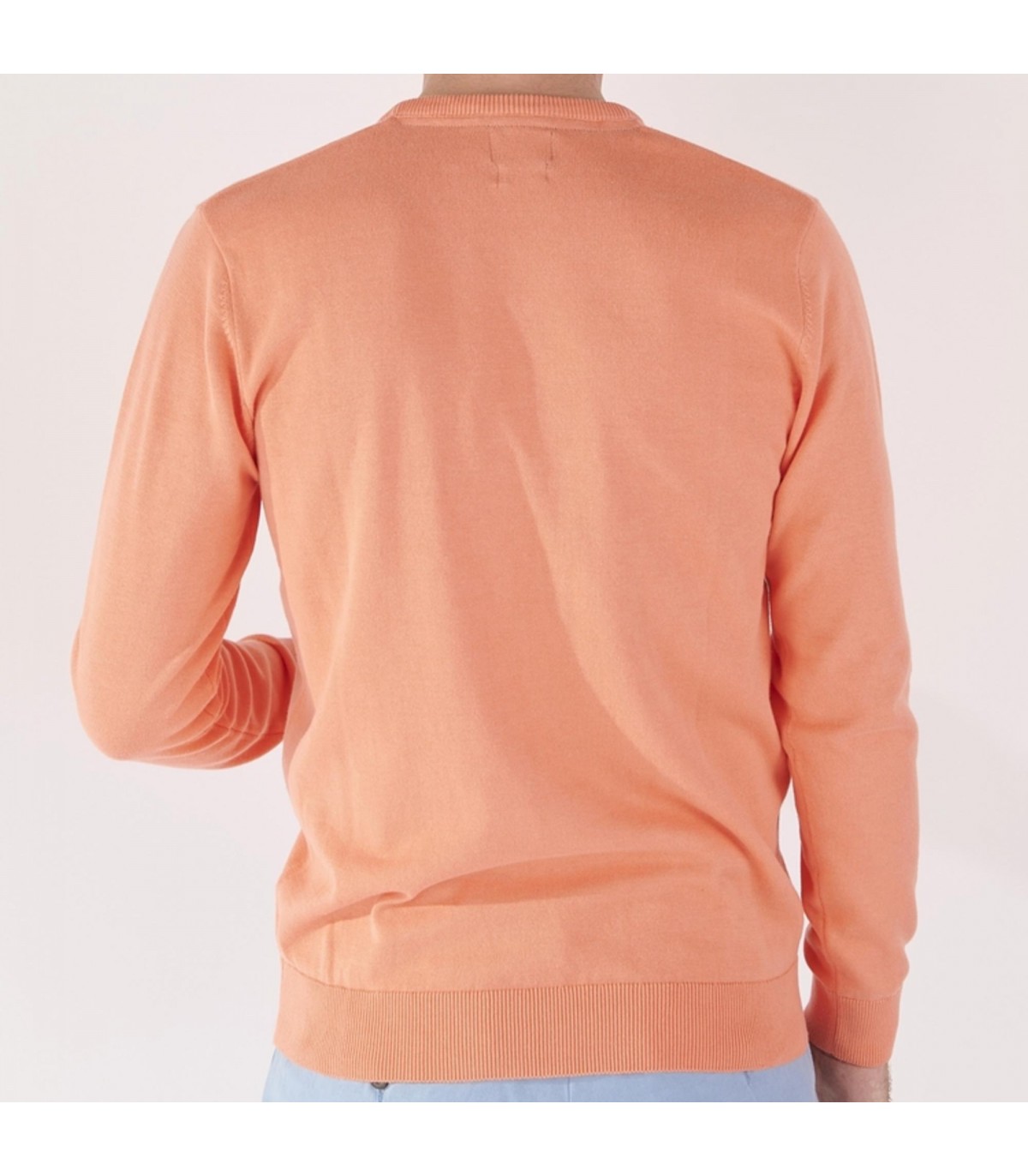 Pull col v la squadra corail