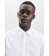 Chemise ml uni seidensticker 01blanc