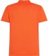 Polo mc tommy menswear scxorange