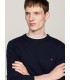 Pull col rond tommy menswear dw5desertsky