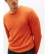 Pull col rond tommy menswear smqorange