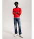 Pull col rond tommy menswear snefireworks