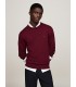 Pull col rond tommy menswear vlprouge