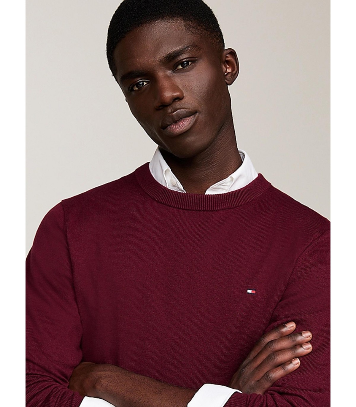 Pull col rond tommy menswear vlprouge