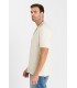 Chemise mc tps cerises 1036offwhite