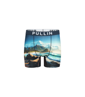 Boxer pull in 