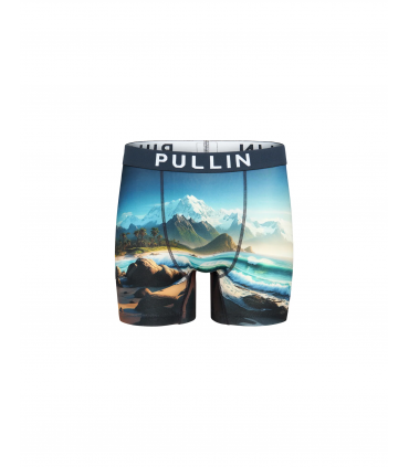Boxer pull in 