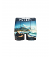 Boxer Pull In