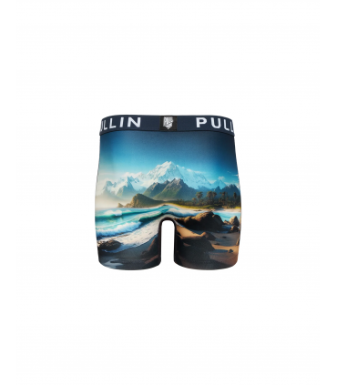 Boxer pull in 