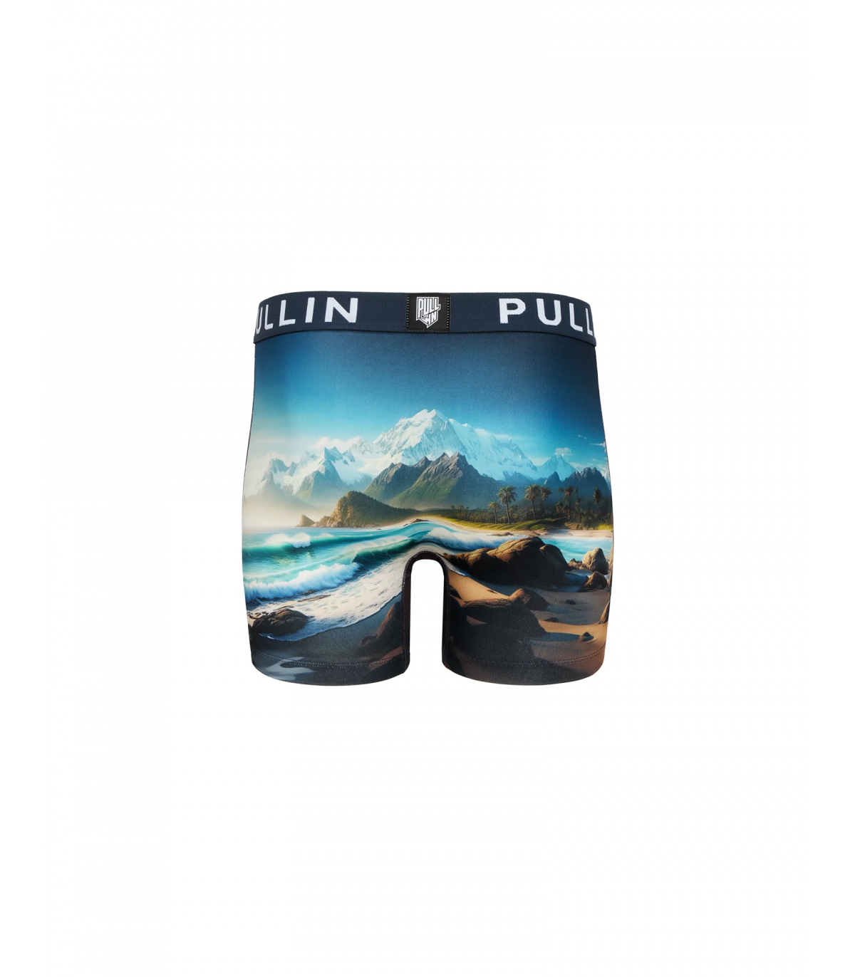 Boxer pull in 