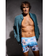 Boxer pull in 