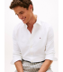 Chemise ml tommy menswear ybrwhite