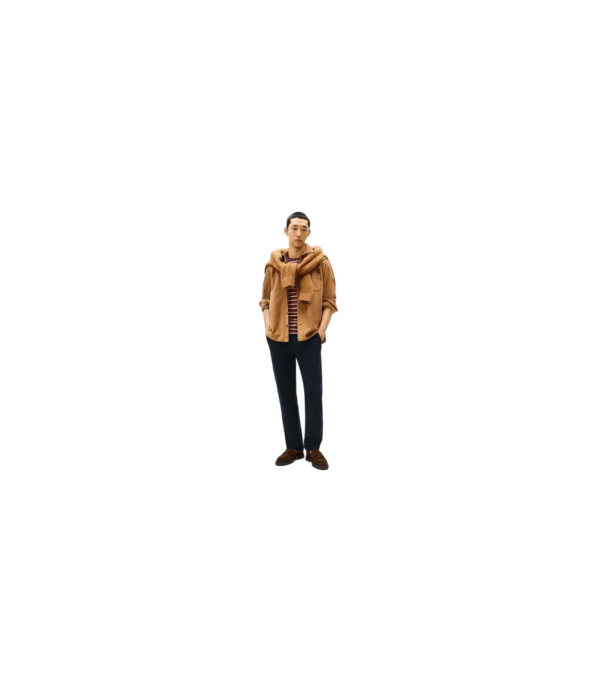Surchemise tommy menswear 0hdhickory