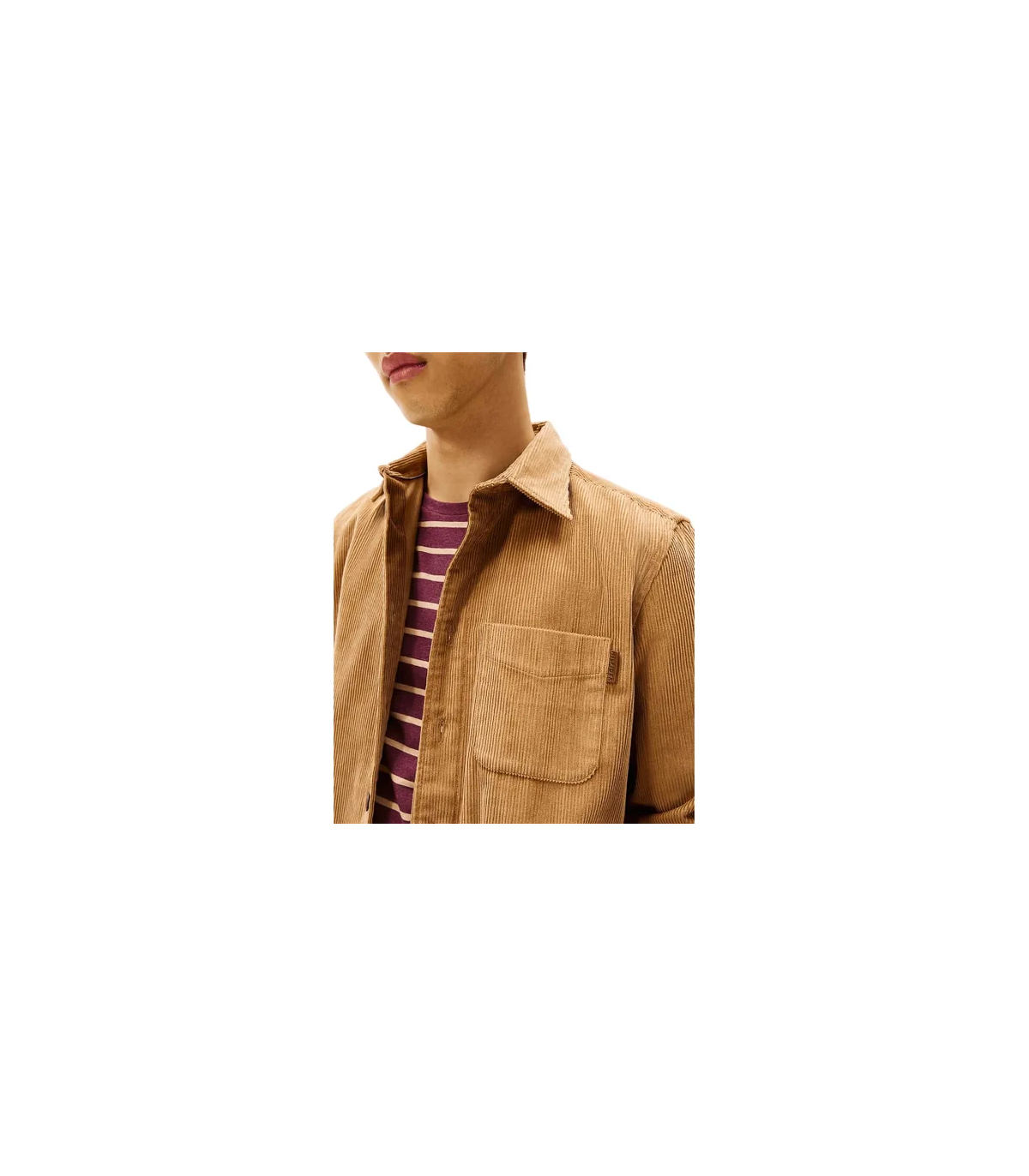 Surchemise tommy menswear 0hdhickory