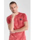 Tee shirt mc tps cerises 4243claret