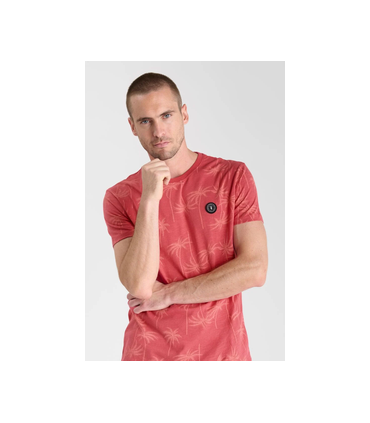 Tee shirt mc tps cerises 4243claret