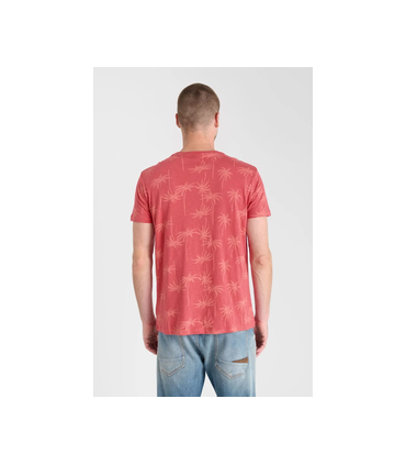 Tee shirt mc tps cerises 4243claret