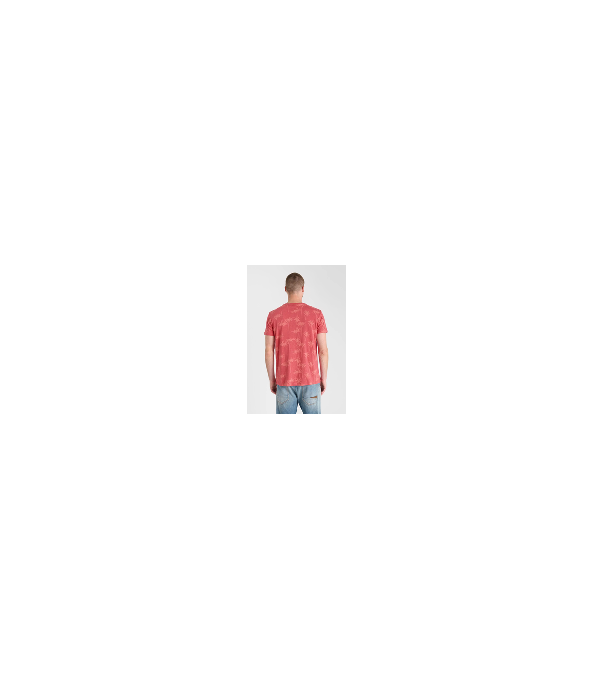 Tee shirt mc tps cerises 4243claret