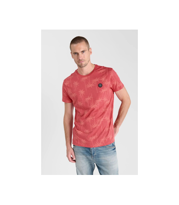 Tee shirt mc tps cerises 4243claret
