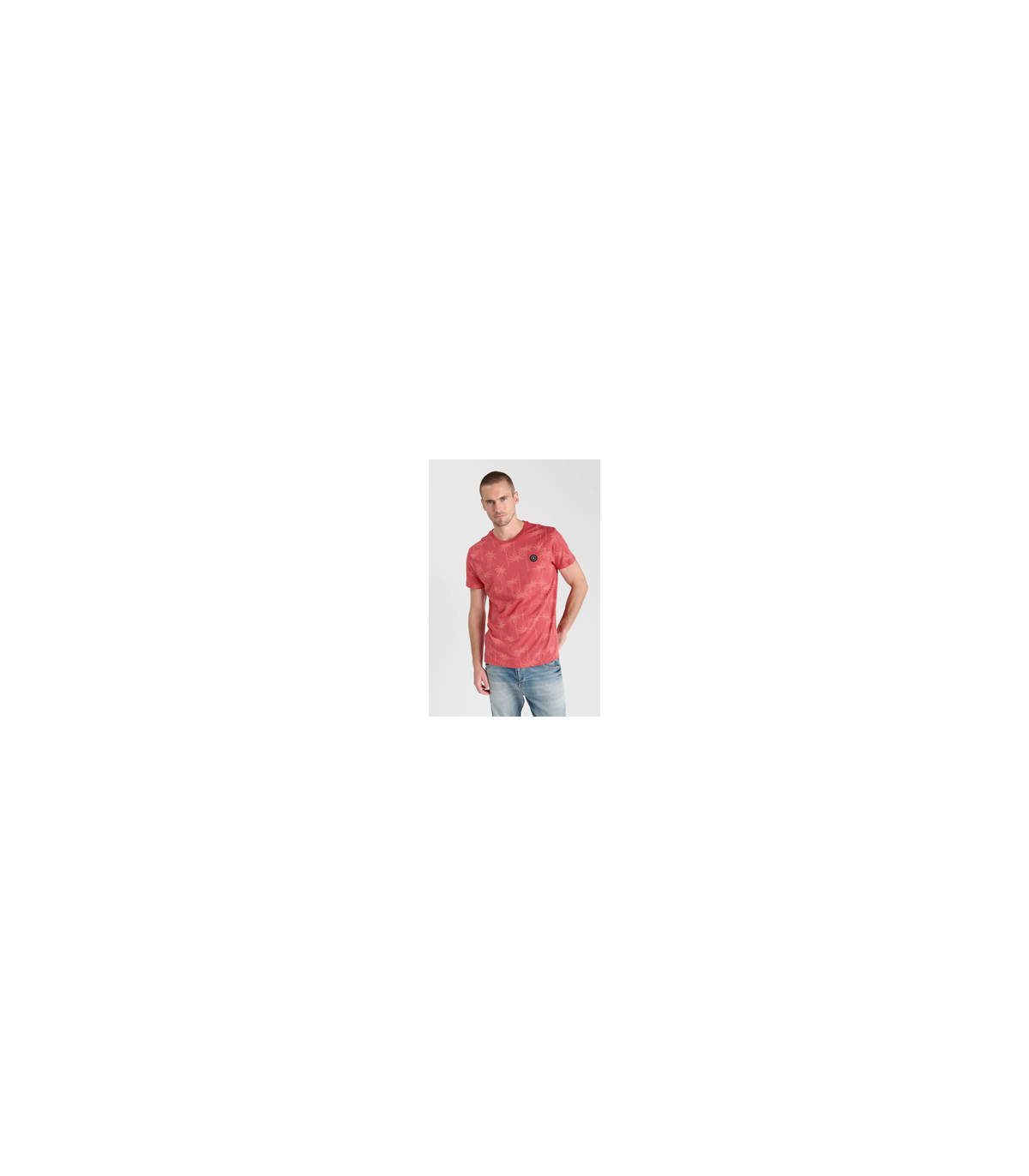 Tee shirt mc tps cerises 4243claret
