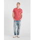Tee shirt mc tps cerises 4243claret