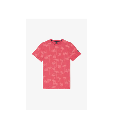 Tee shirt mc tps cerises 4243claret