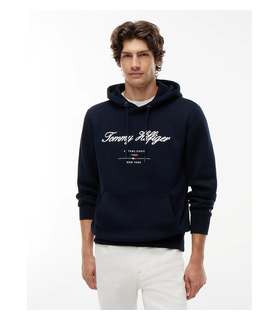 Sweat capuche tommy menswear dw5desertsky