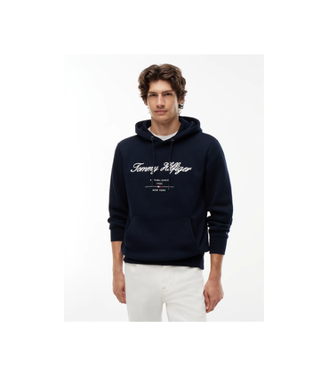 Sweat capuche tommy menswear dw5desertsky