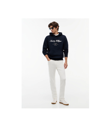 Sweat capuche tommy menswear dw5desertsky