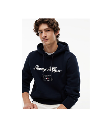 Sweat capuche tommy menswear dw5desertsky