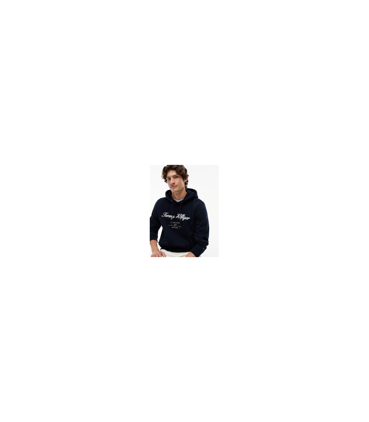 Sweat capuche tommy menswear dw5desertsky