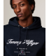 Sweat capuche tommy menswear dw5desertsky