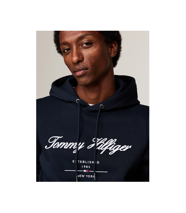 Sweat capuche tommy menswear dw5desertsky