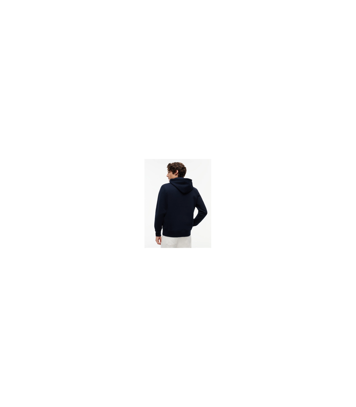 Sweat capuche tommy menswear dw5desertsky
