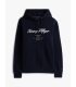 Sweat capuche tommy menswear dw5desertsky