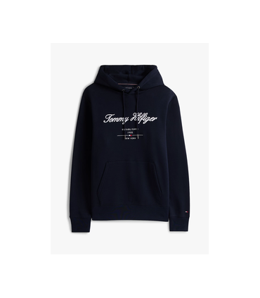Sweat capuche tommy menswear dw5desertsky