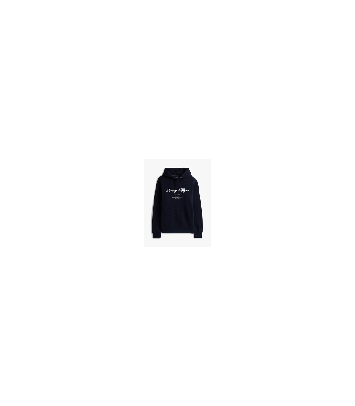 Sweat capuche tommy menswear dw5desertsky
