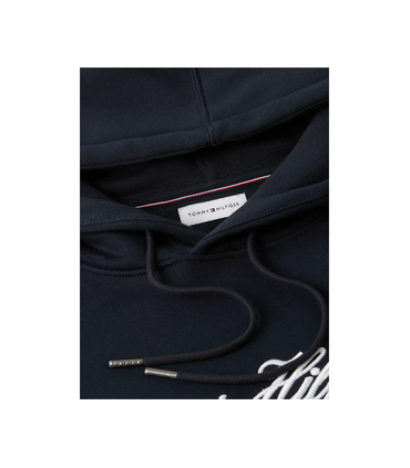 Sweat capuche tommy menswear dw5desertsky