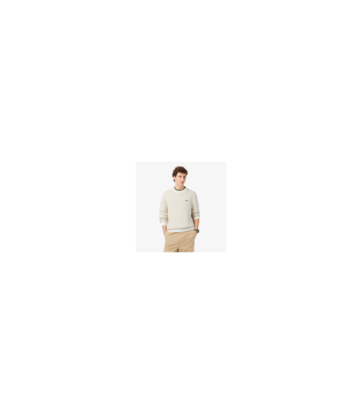 Pull col rond lacoste wl6-poudre