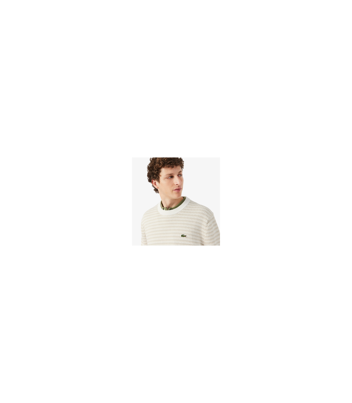Pull col rond lacoste wl6-poudre