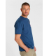 Tee shirt mc tps cerises 3007bleu